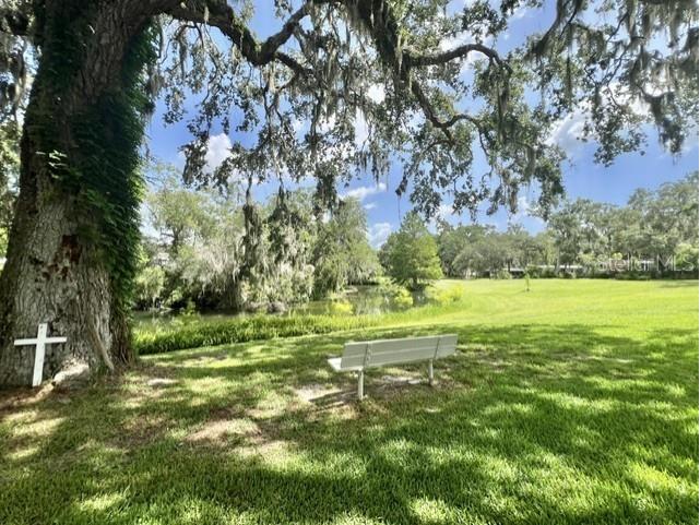 105 Avocado Cove Leesburg FL 34748 G5098068 image12