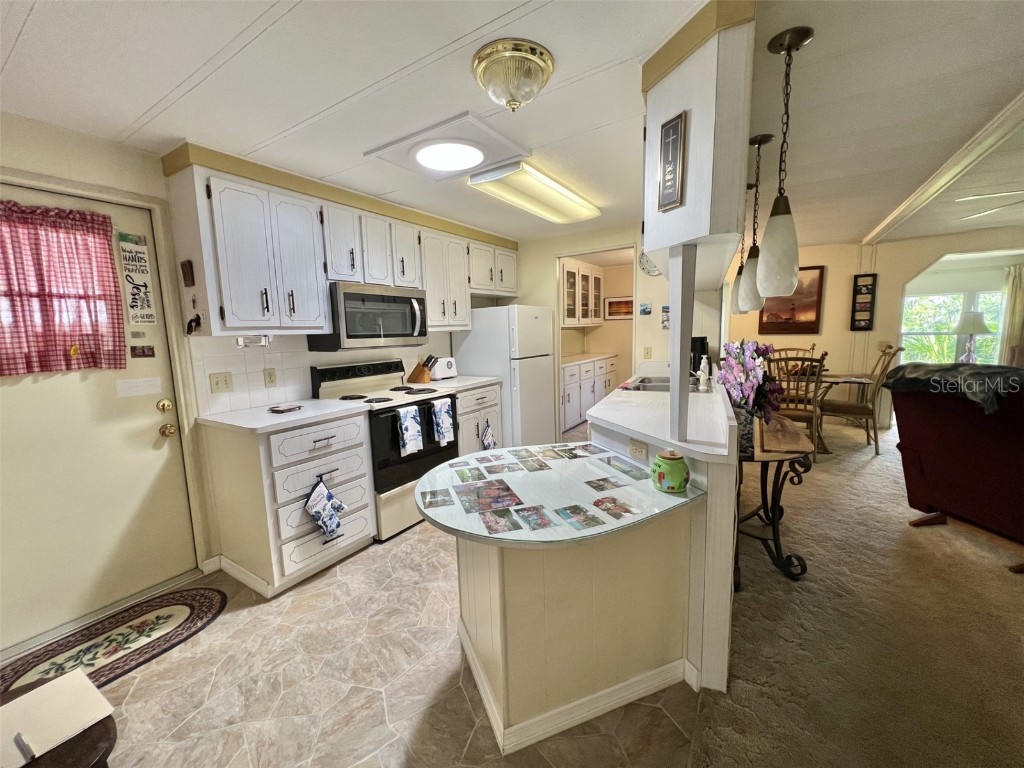 105 Avocado Cove Leesburg FL 34748 G5098068 image18