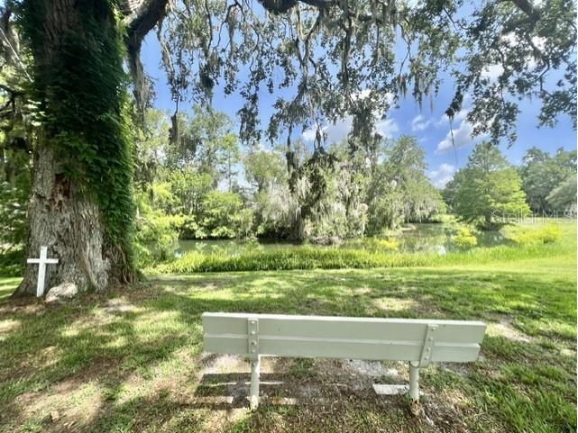 105 Avocado Cove Leesburg FL 34748 G5098068 image2