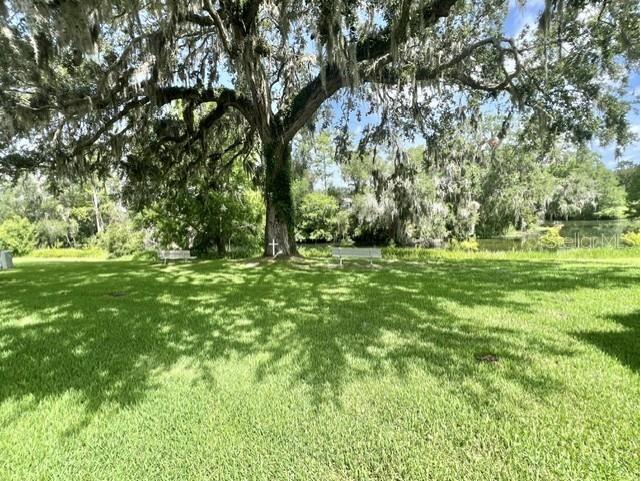 105 Avocado Cove Leesburg FL 34748 G5098068 image34