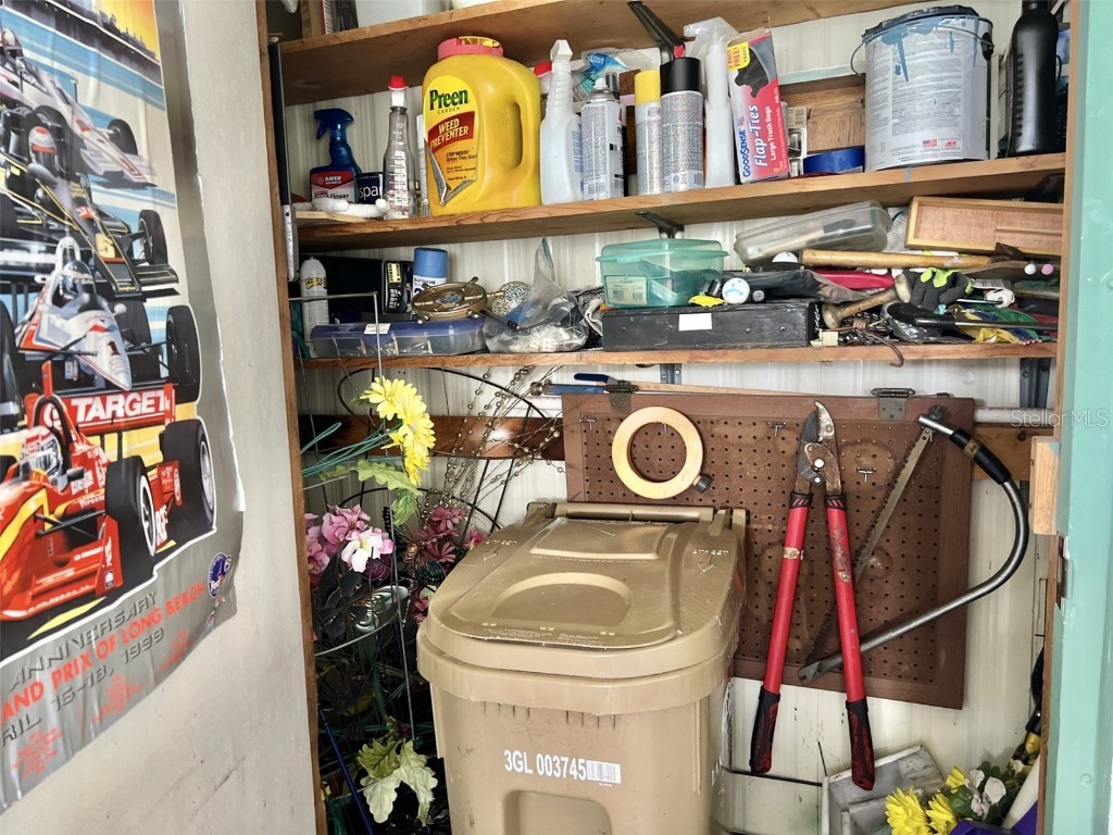 105 Avocado Cove Leesburg FL 34748 G5098068 image43