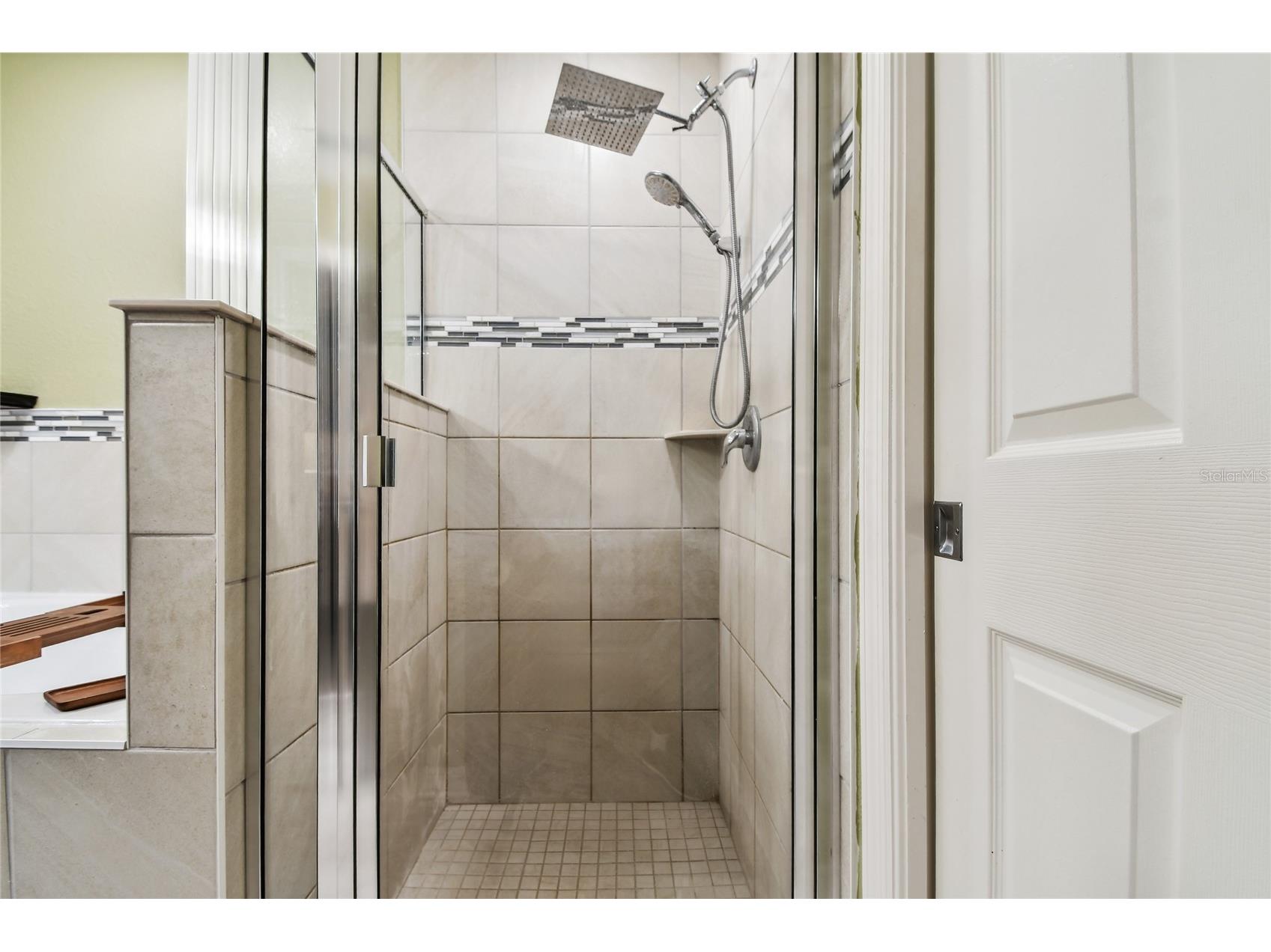 105 Blue Alice Spring Court Ruskin FL 33570 TB8498730 image27