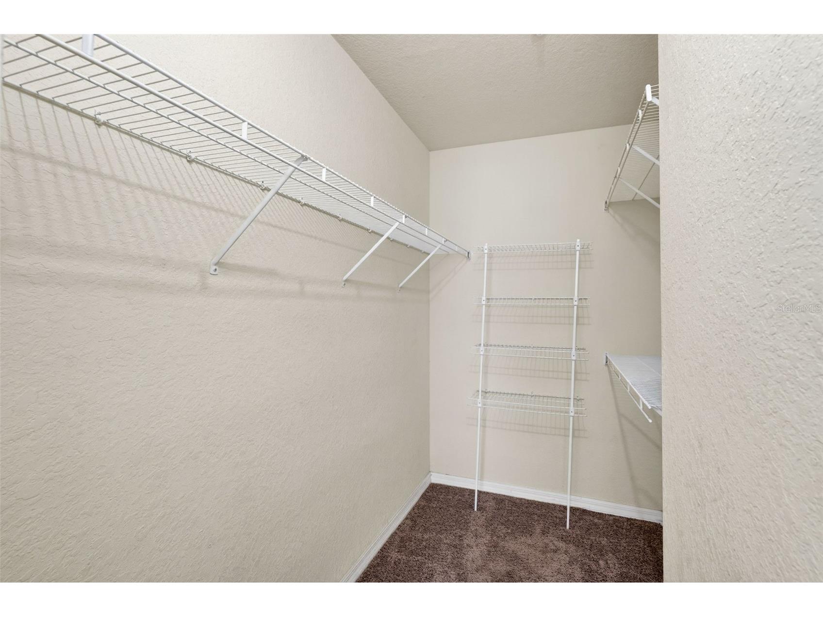 105 Bradford Beach Court Tampa FL 33609 TB8512372 image23