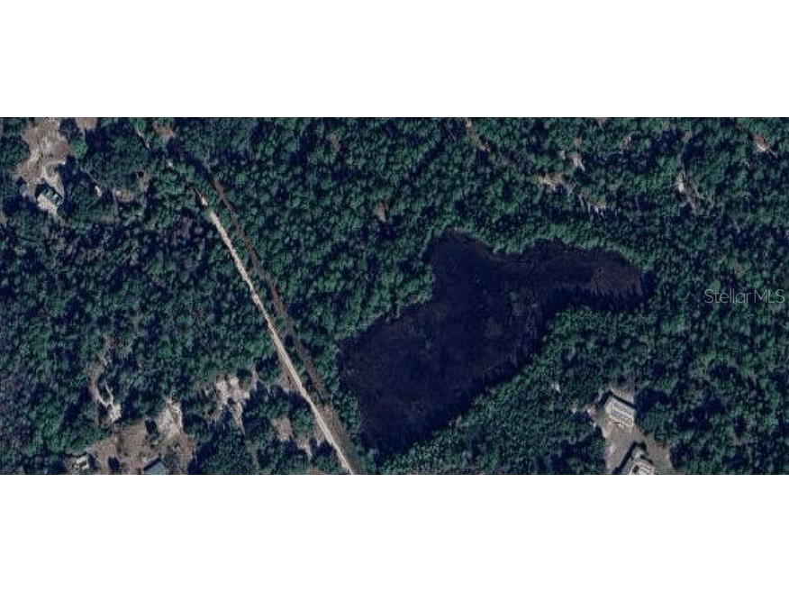 105 Brierly Street Georgetown FL 32139 A4670446 image2