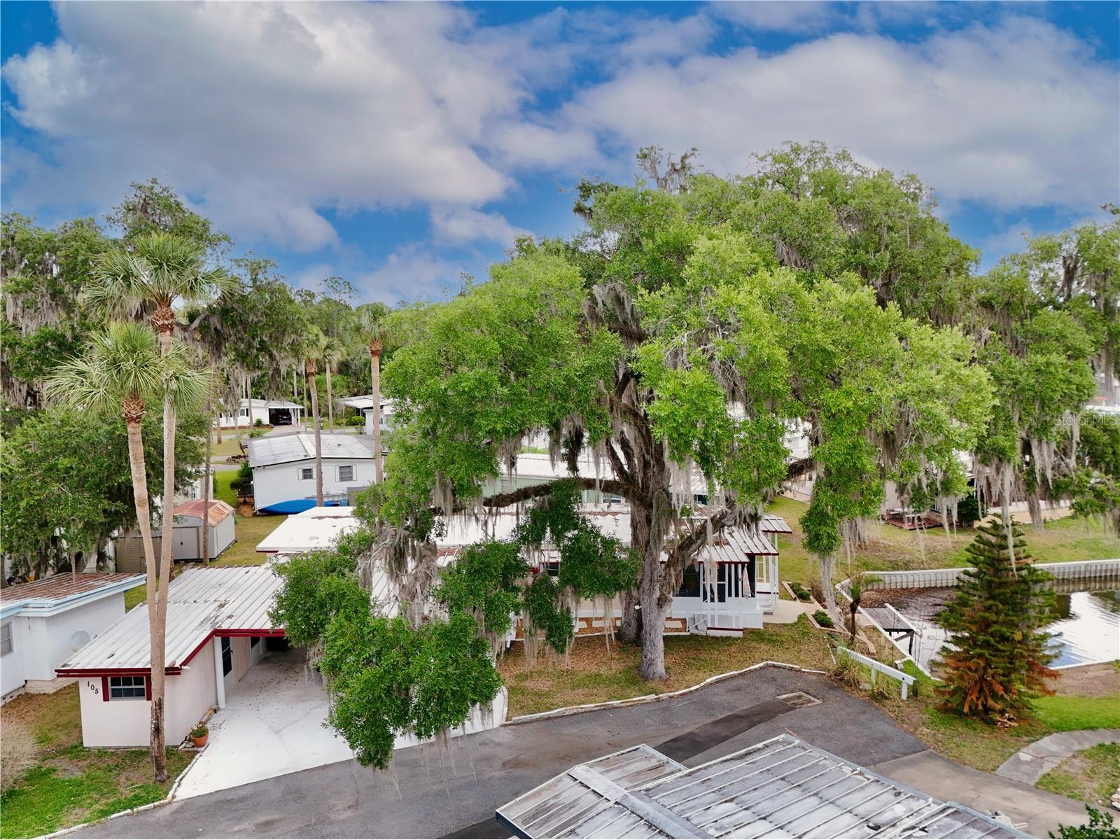 105 Canal View Eustis FL 32726 - Trout Lake O6413223 image34