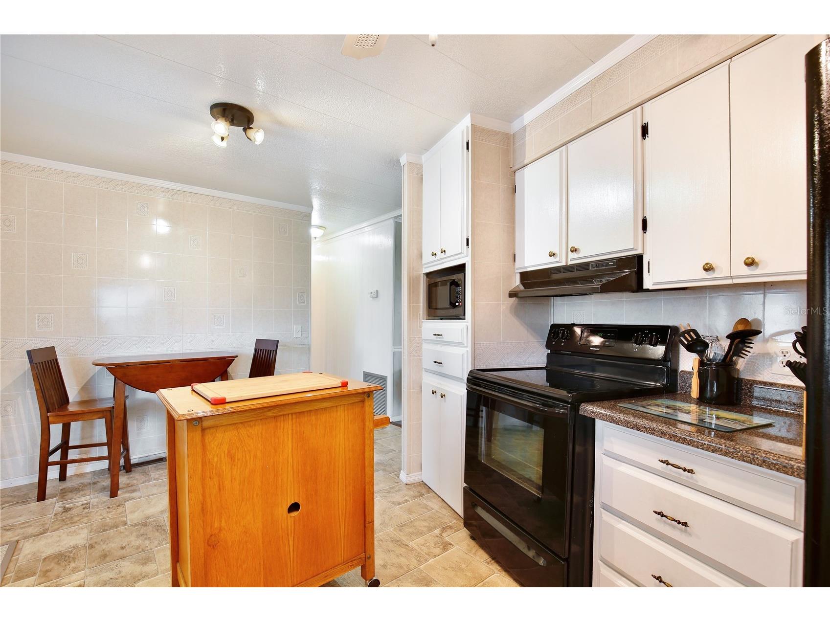 105 Canal View Eustis FL 32726 - Trout Lake O6413223 image8