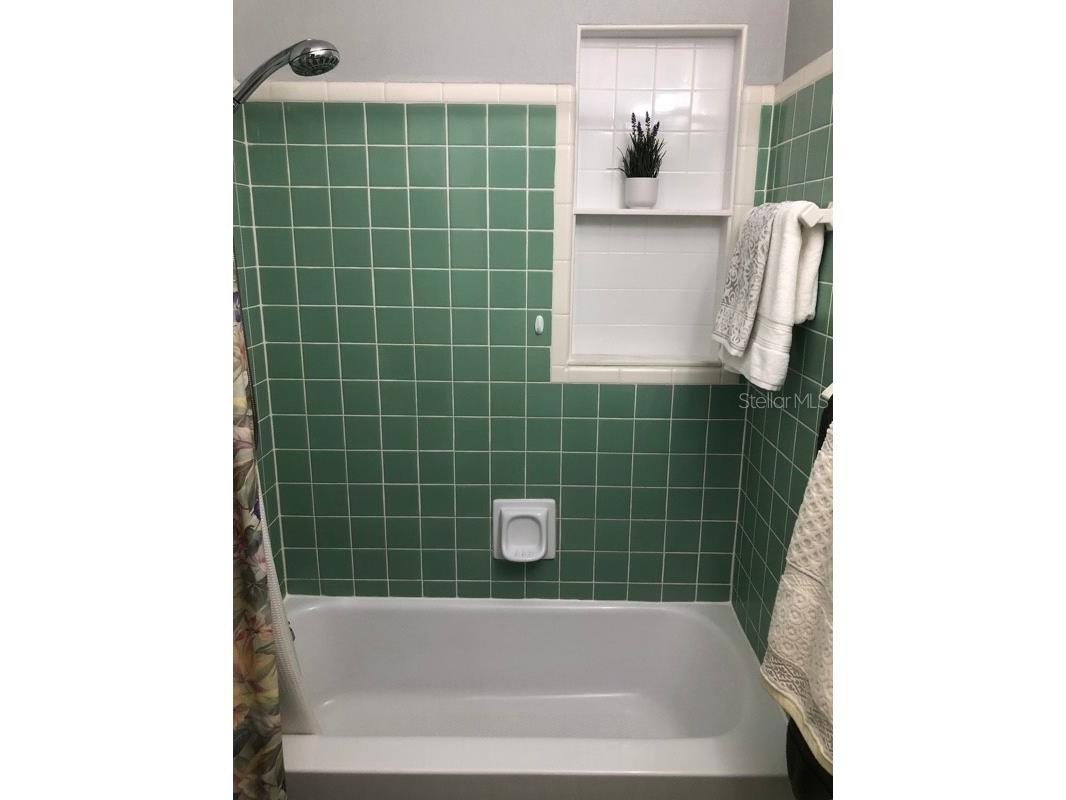 105 Chesapeake Avenue Tampa FL 33606 TB8471587 image24