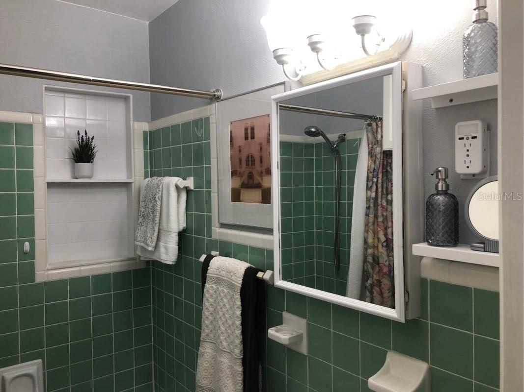 105 Chesapeake Avenue Tampa FL 33606 TB8471587 image25
