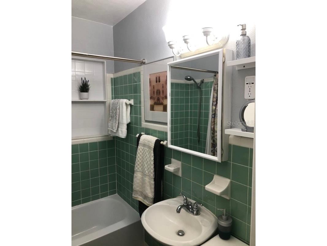 105 Chesapeake Avenue Tampa FL 33606 TB8471587 image26