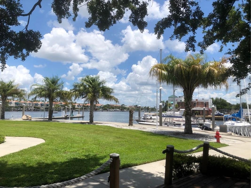 105 Chesapeake Avenue Tampa FL 33606 TB8471587 image4