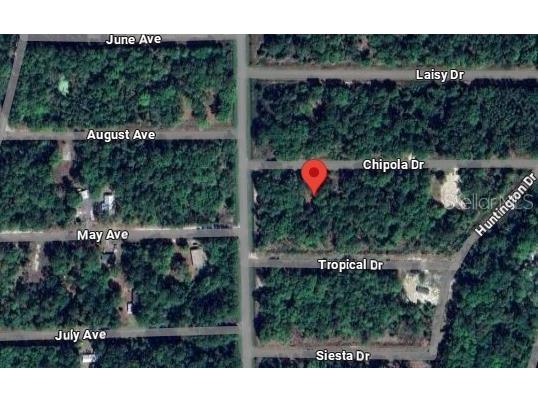 105 Chipola Drive Georgetown FL 32139 L4950433 image1