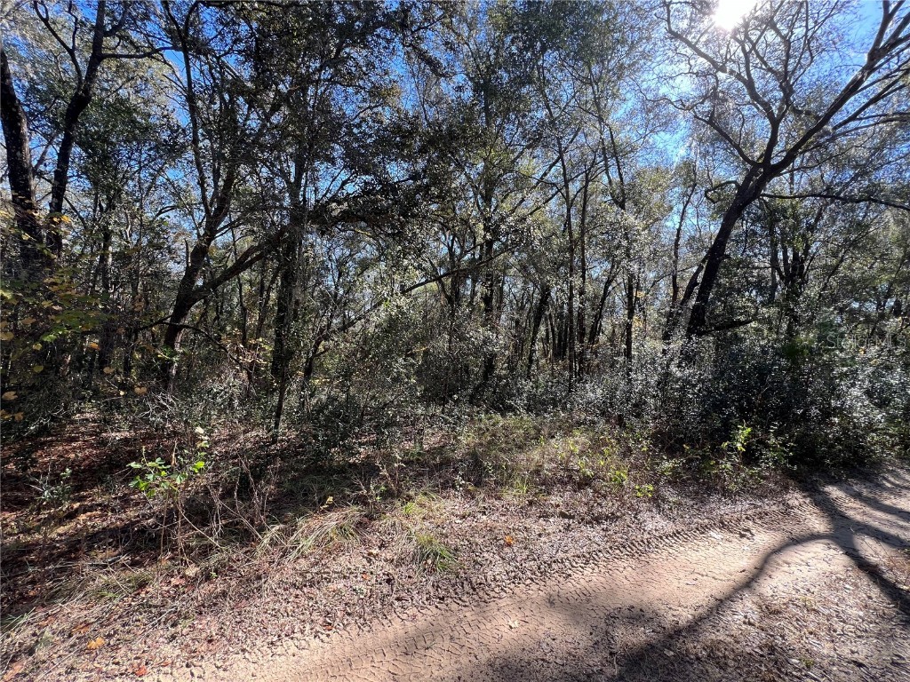 105 Crestview Avenue Inverness FL 34452 OM669648 image1