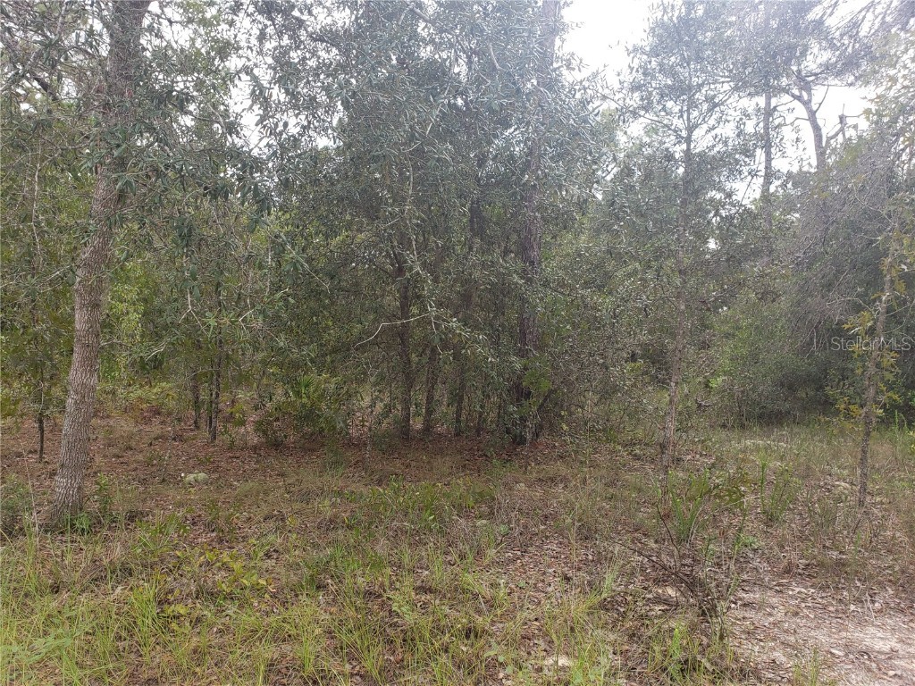 105 Draycott Avenue Lake Placid FL 33852 T3529003 image1