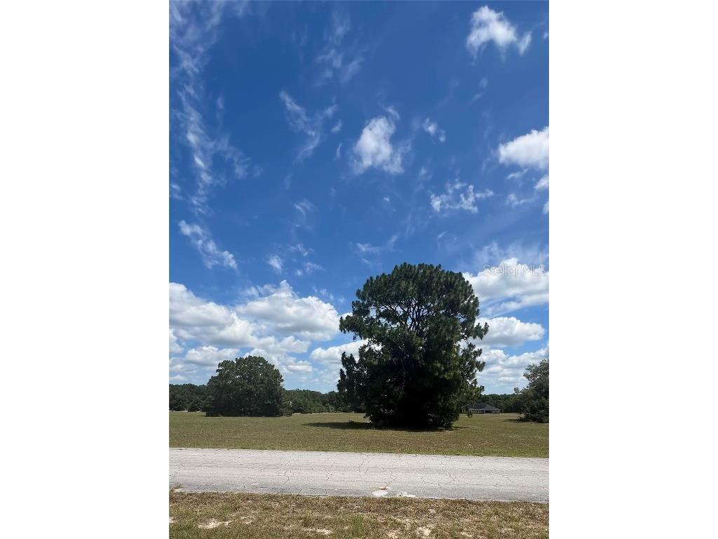 105 E Samuel Court Hernando FL 34442 G5083294 image1