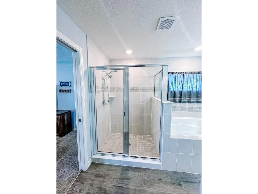 105 Foxtail Loop Davenport FL 33837 L4956125 image17