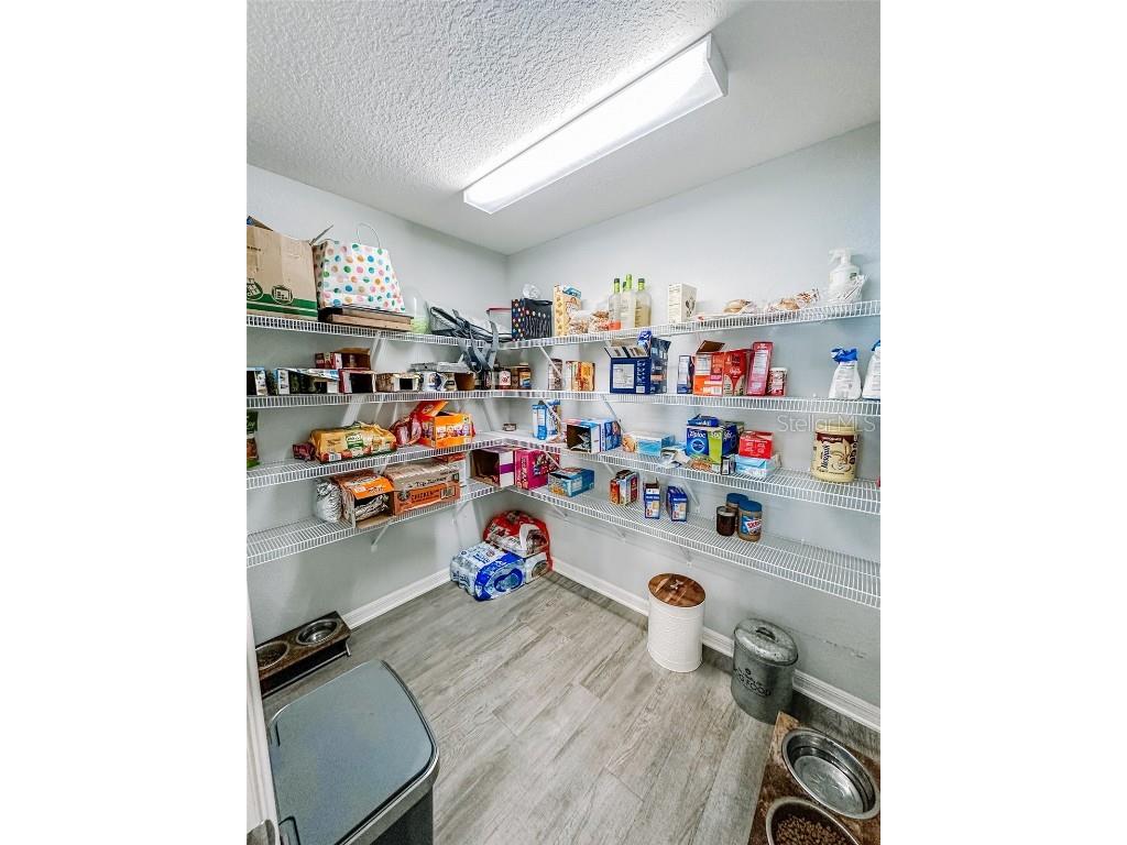 105 Foxtail Loop Davenport FL 33837 L4956125 image21