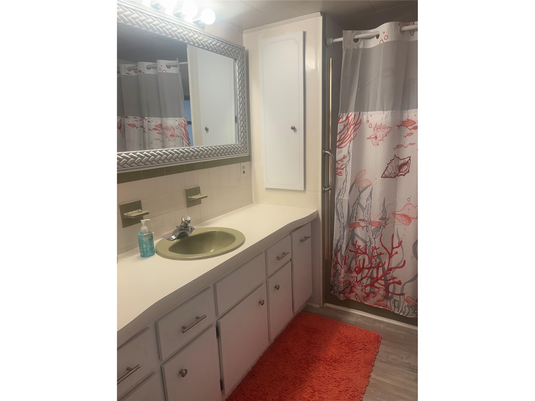 105 Freedom Court #30 Palm Harbor FL 34684 TB8478293 image26