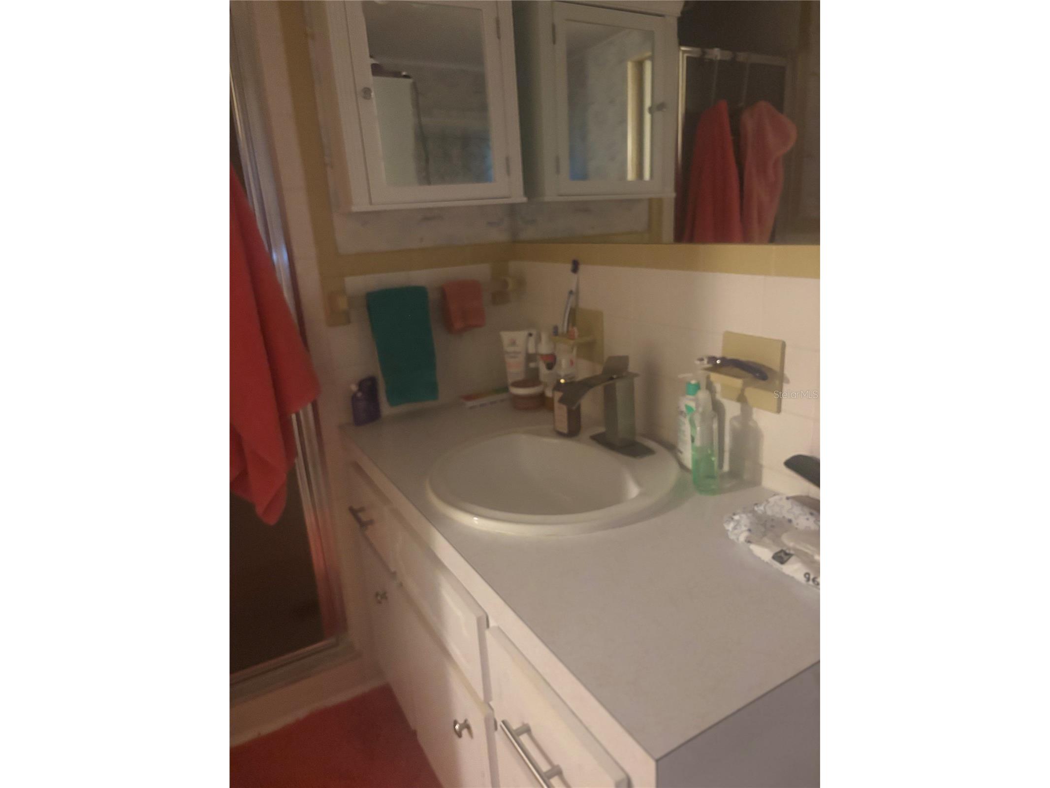 105 Freedom Court #30 Palm Harbor FL 34684 TB8478293 image28