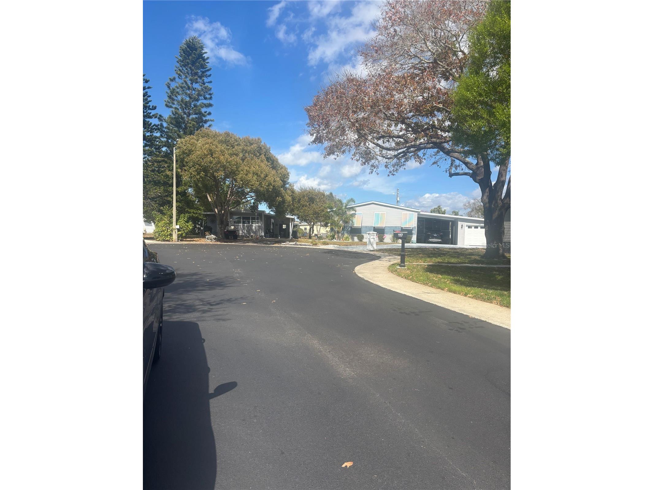105 Freedom Court #30 Palm Harbor FL 34684 TB8478293 image3