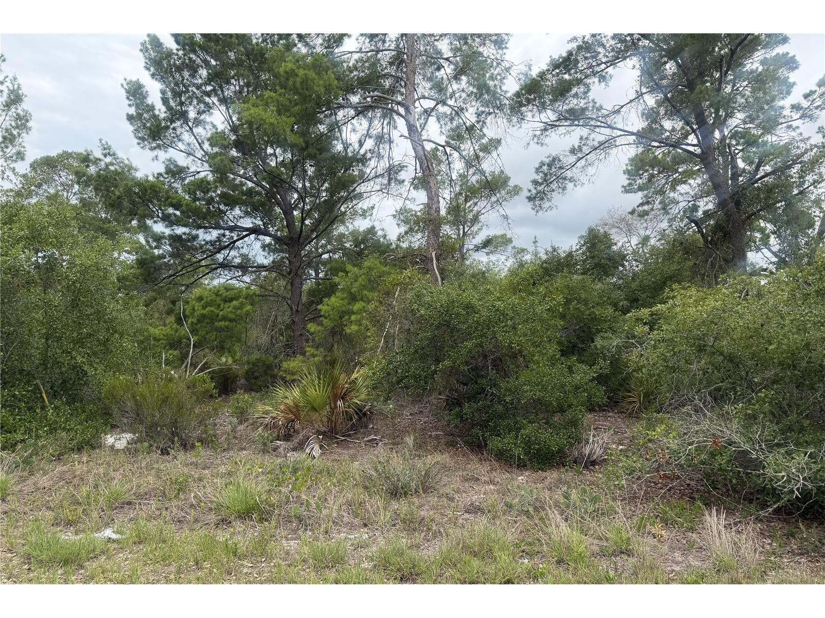 105 Hoover Avenue NE Lake Placid FL 33852 L4962661 image1
