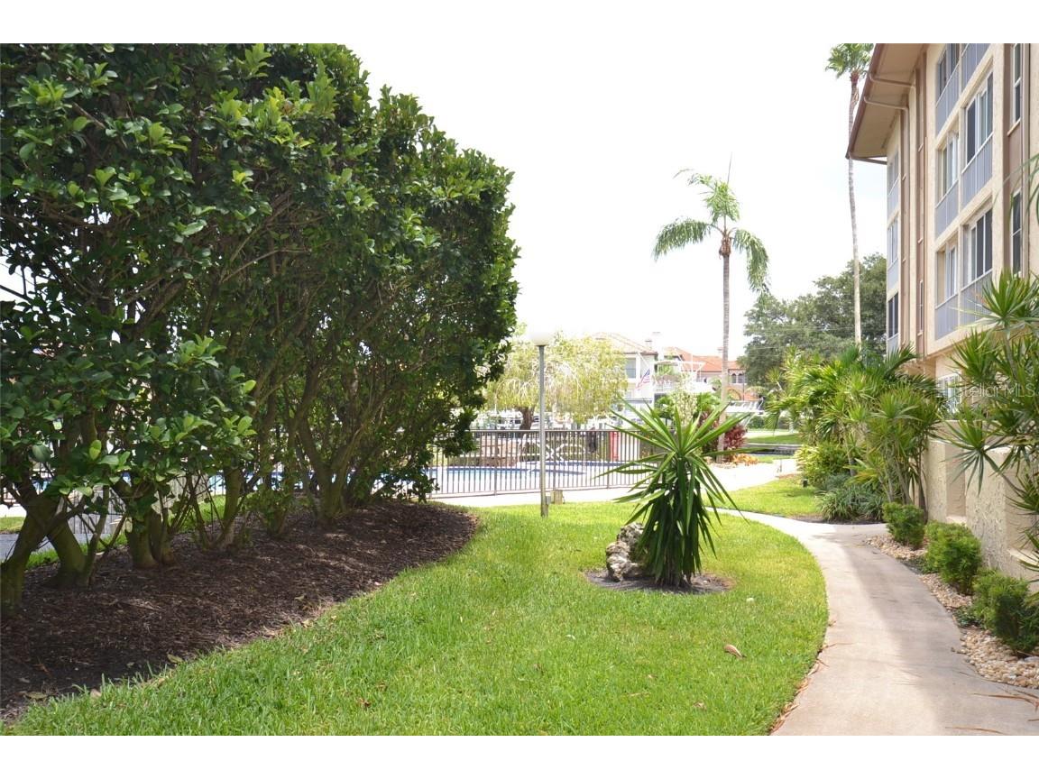 105 Island Way #146 Clearwater Beach FL 33767 TB8430388 image15