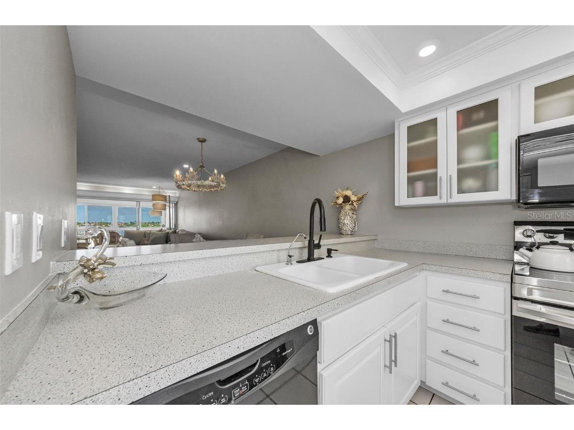 105 Island Way #146 Clearwater Beach FL 33767 TB8430388 image31