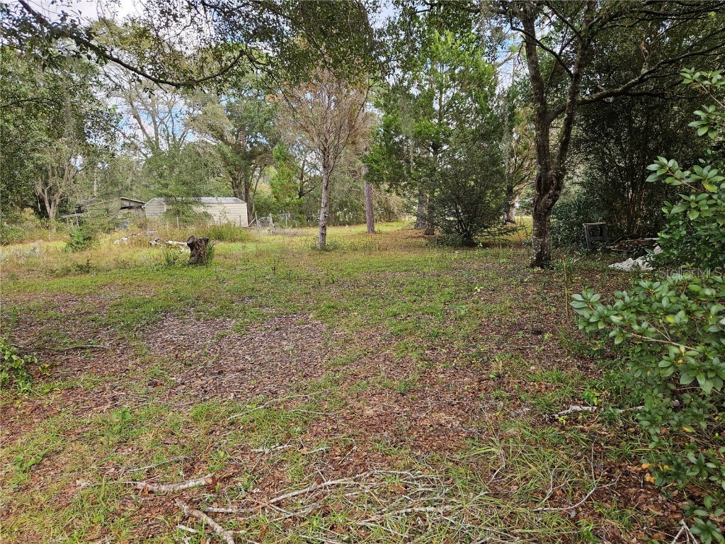 105 James Avenue Interlachen FL 32148 V4933389 image1