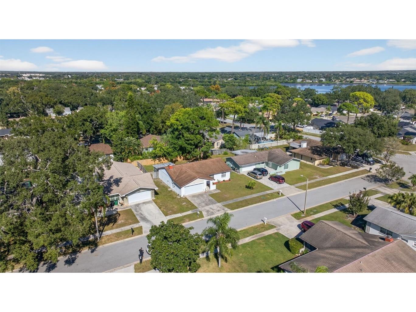 105 Lotus Circle Safety Harbor FL 34695 TB8448385 image30