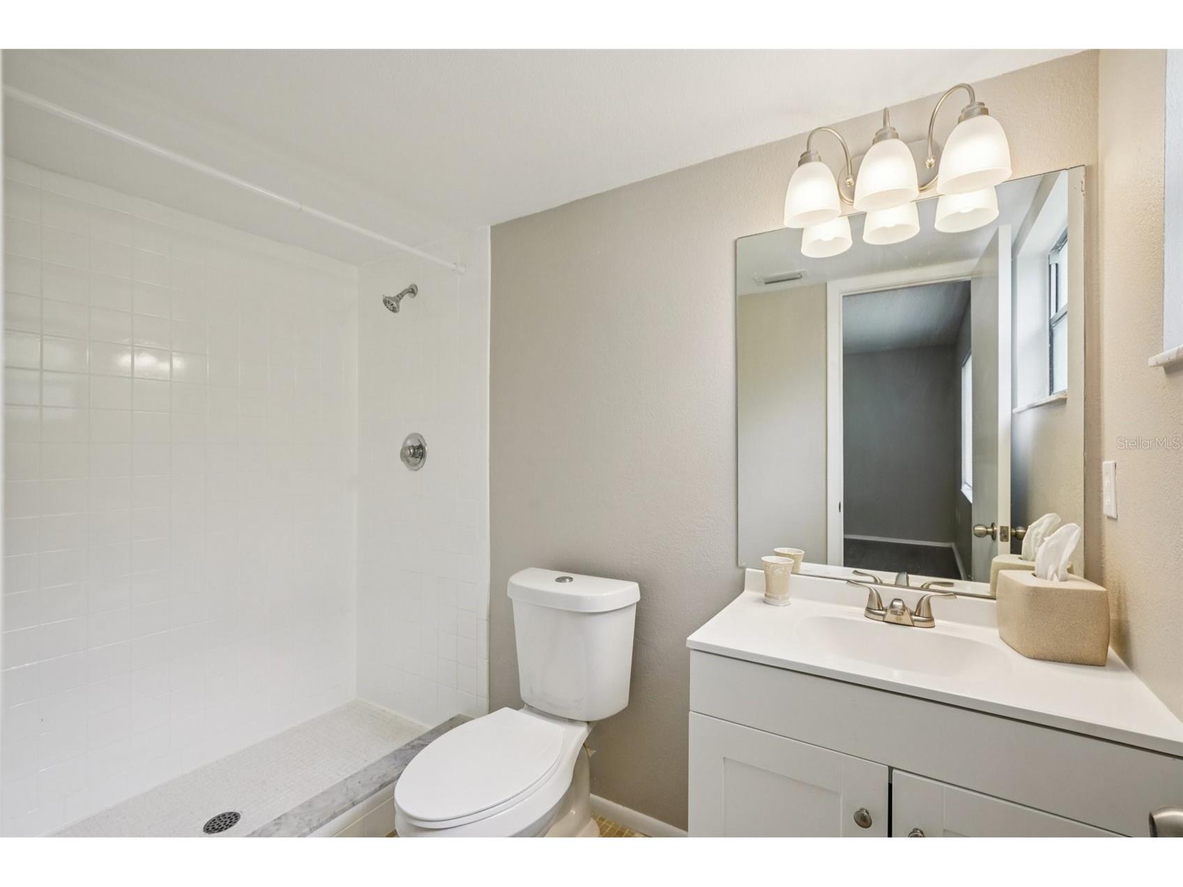 105 Lotus Circle Safety Harbor FL 34695 TB8494556 image19