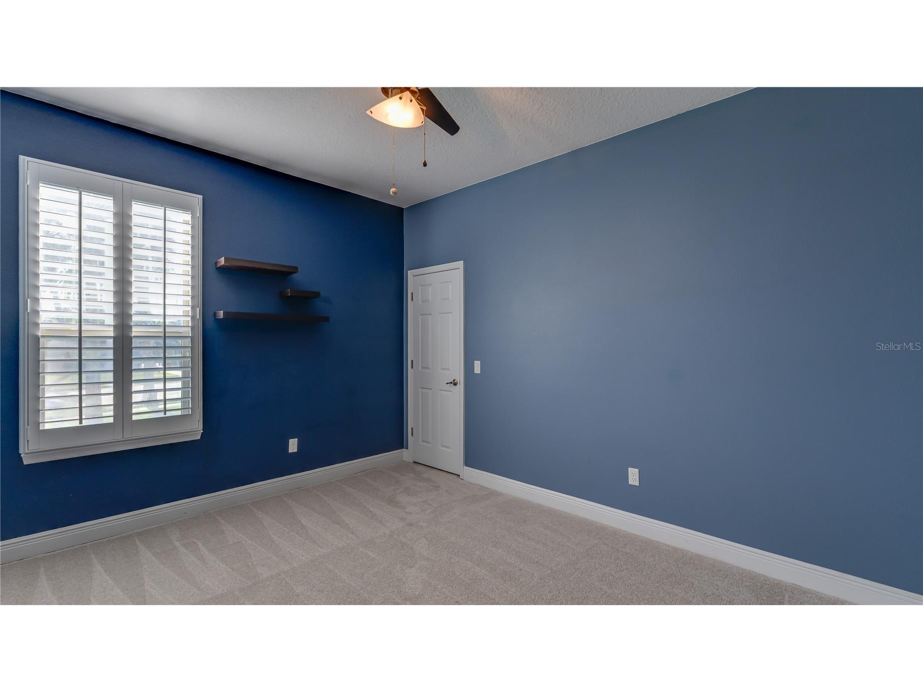 105 Mobbly Bay Drive Oldsmar FL 34677 TB8507261 image38