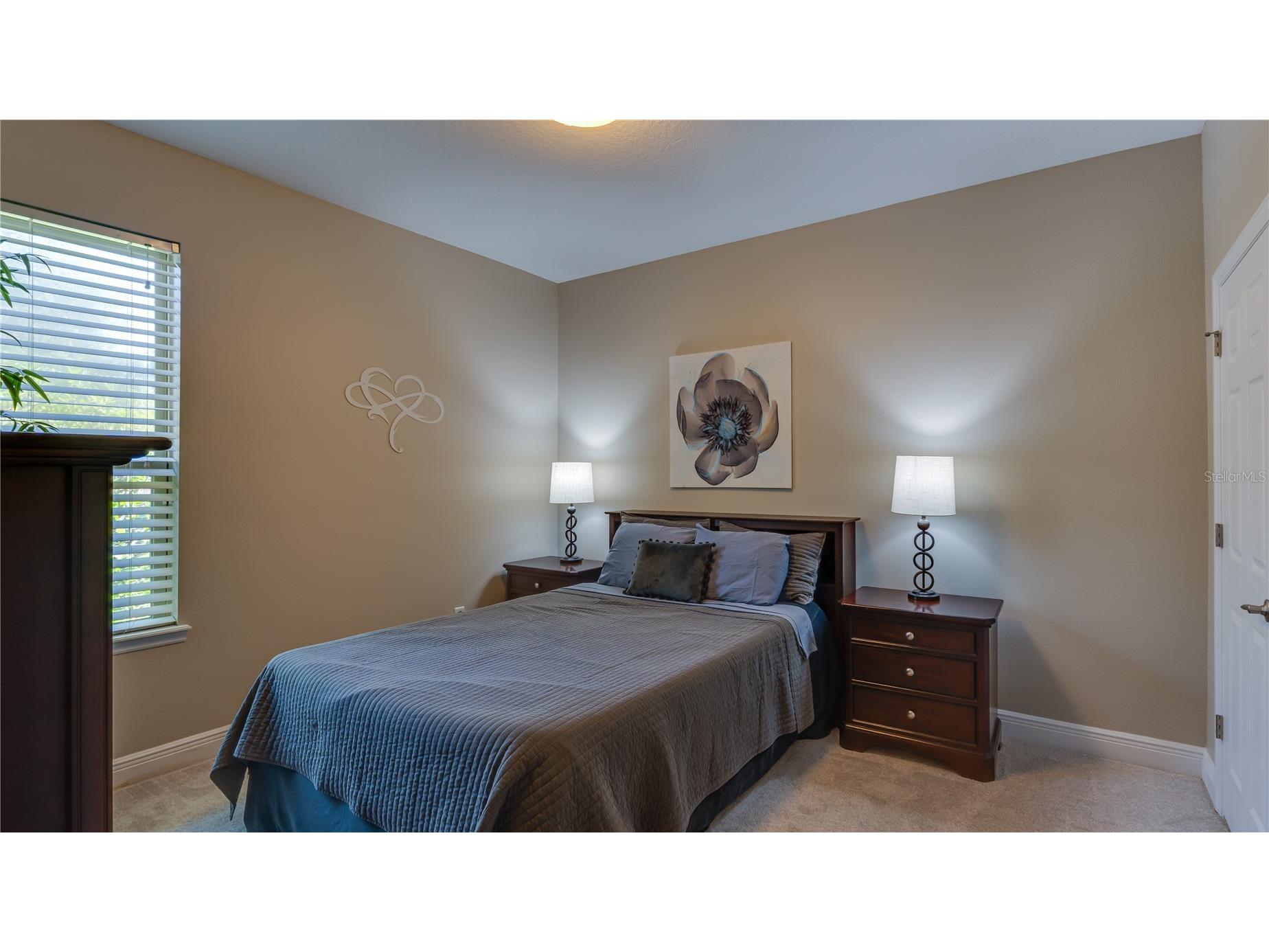 105 Mobbly Bay Drive Oldsmar FL 34677 TB8507261 image42