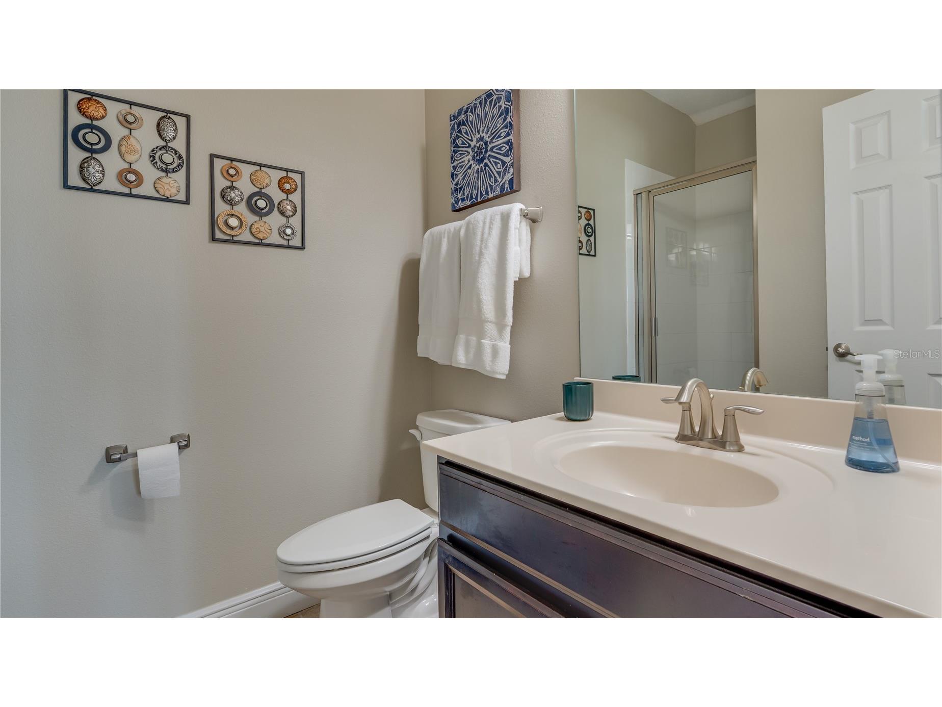 105 Mobbly Bay Drive Oldsmar FL 34677 TB8507261 image80