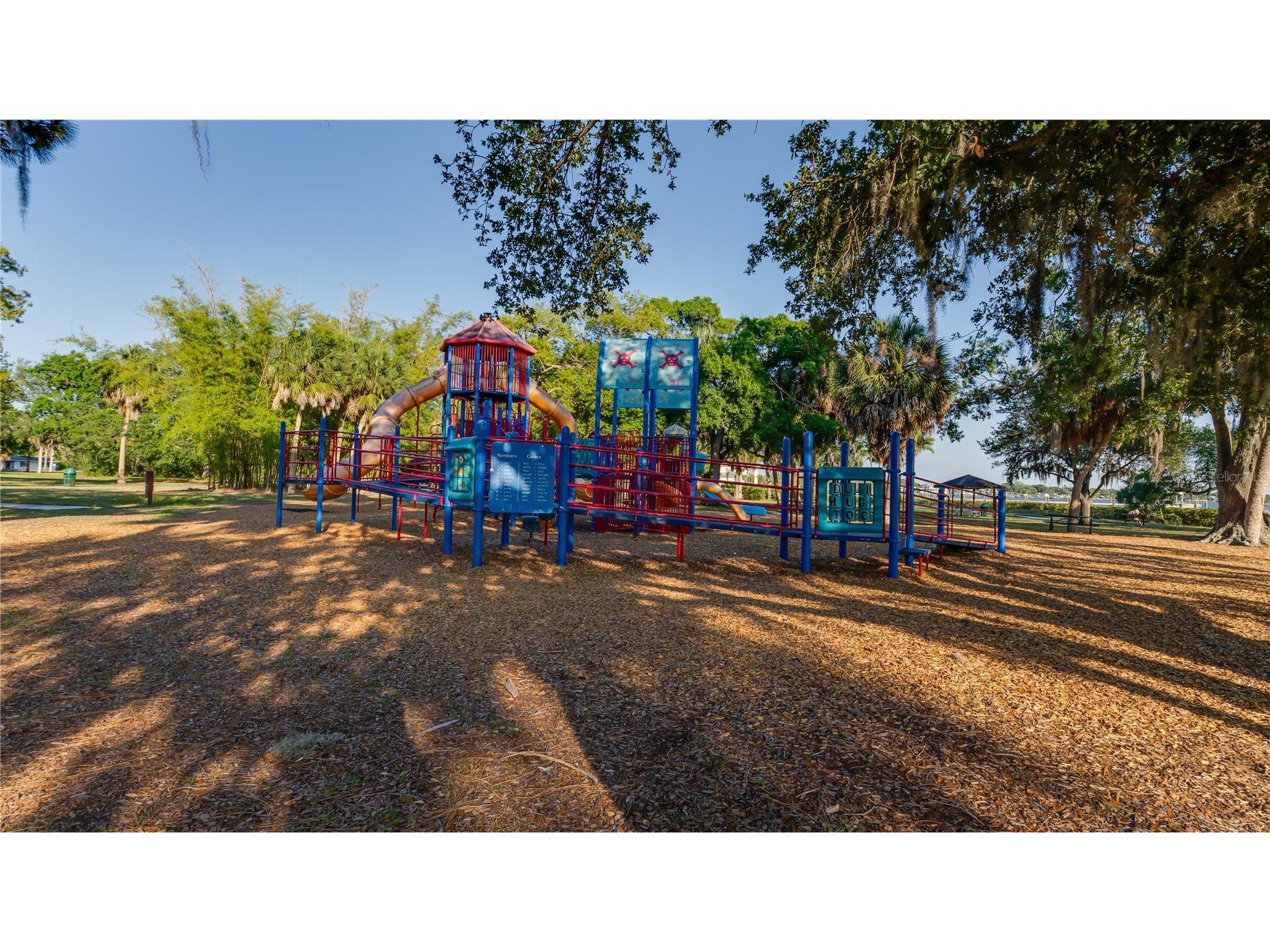 105 Mobbly Bay Drive Oldsmar FL 34677 TB8507261 image98