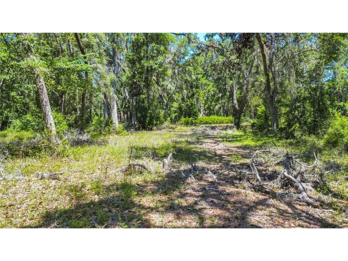 105 NE 239th Avenue Old Town FL 32680 W7875715 image10