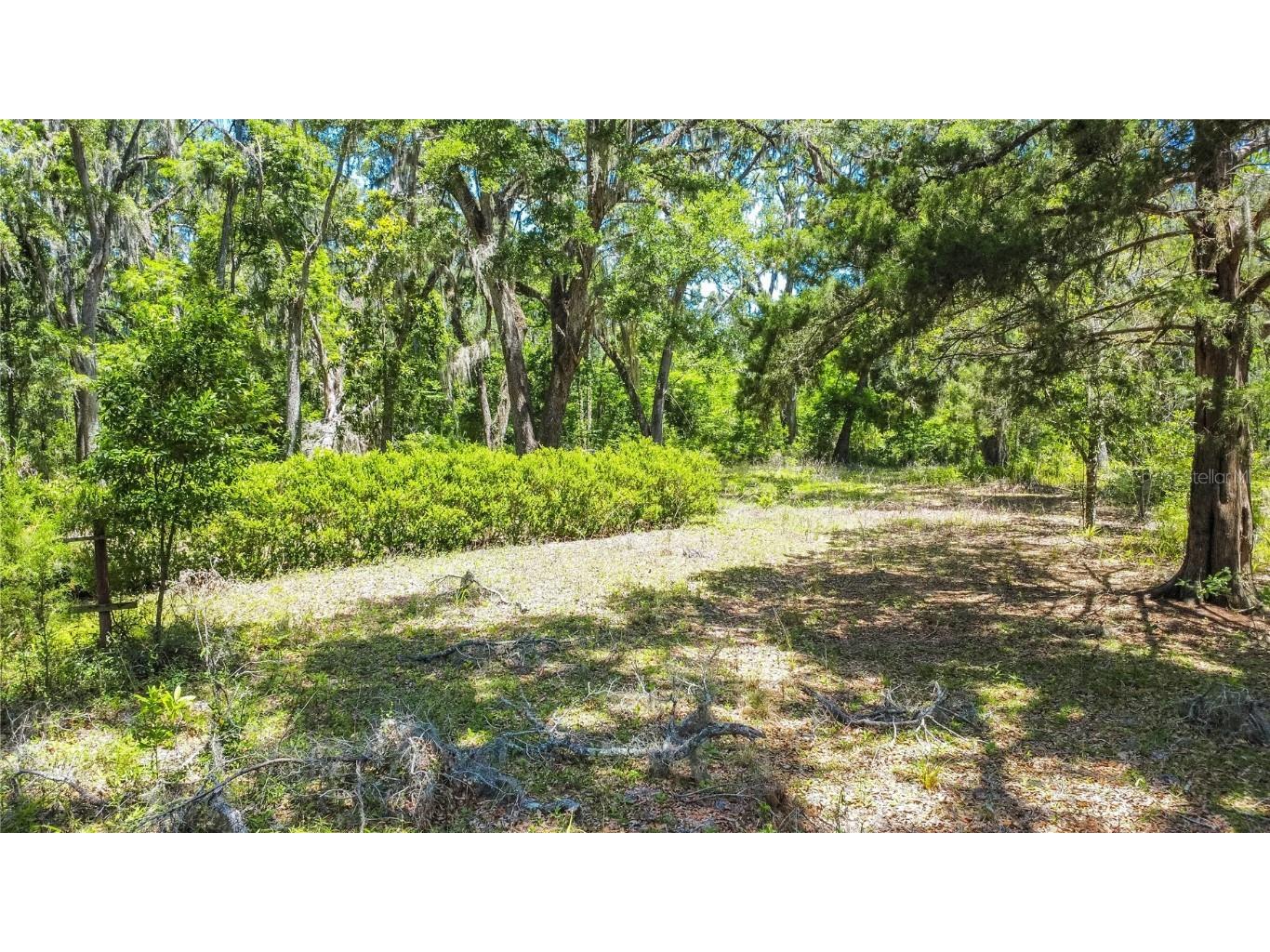 105 NE 239th Avenue Old Town FL 32680 W7875715 image11