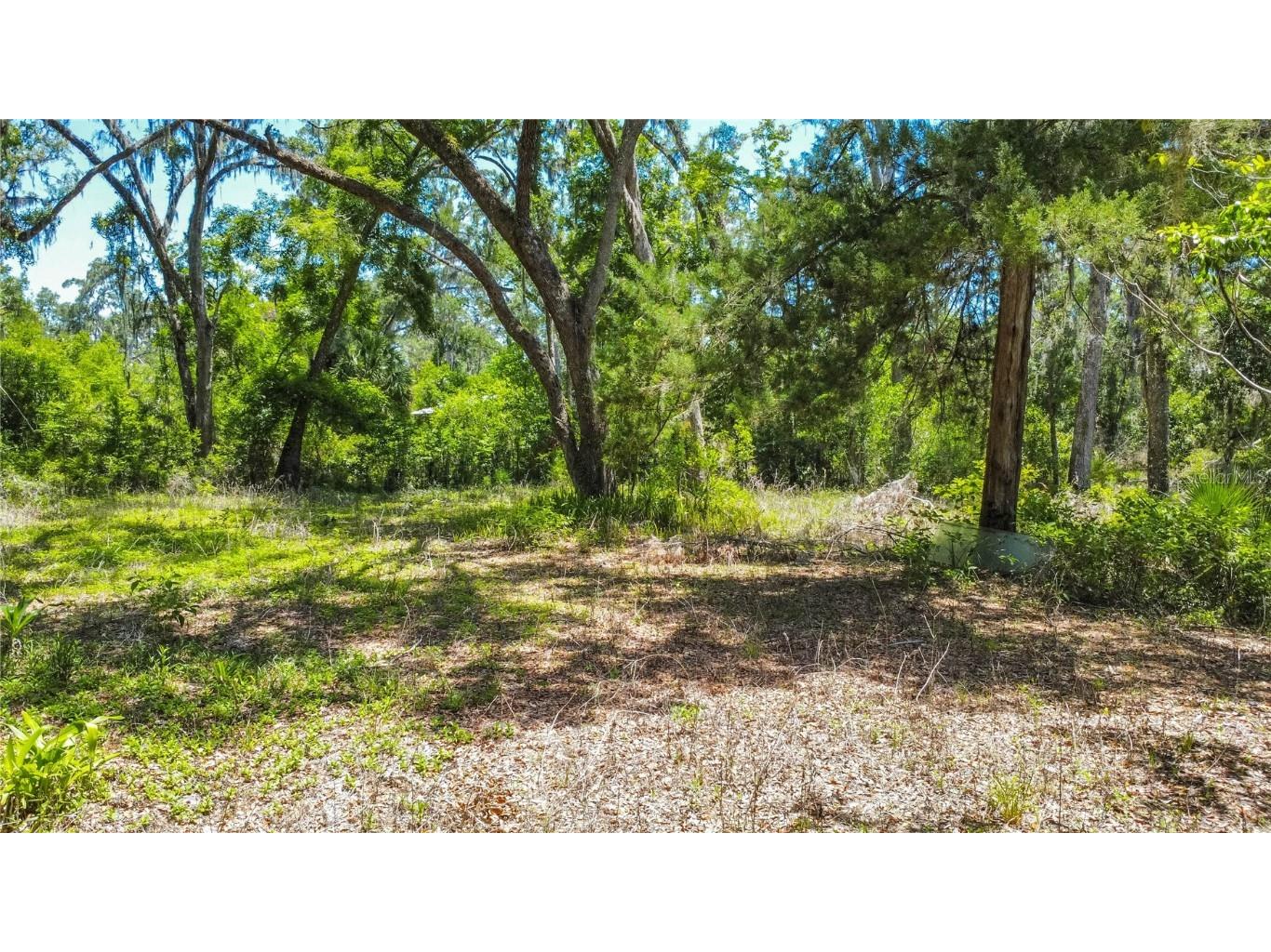 105 NE 239th Avenue Old Town FL 32680 W7875715 image12