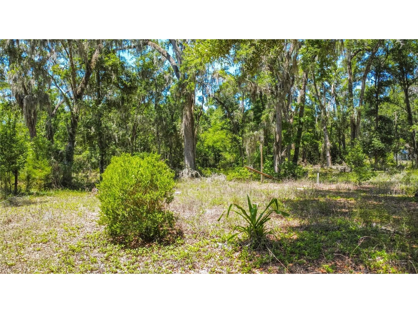 105 NE 239th Avenue Old Town FL 32680 W7875715 image14