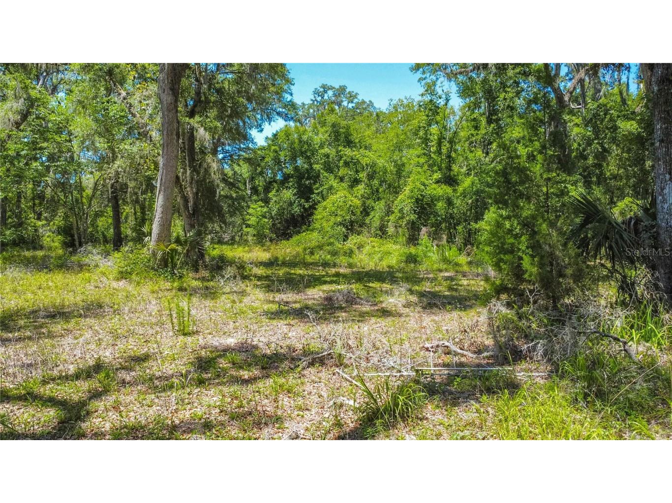 105 NE 239th Avenue Old Town FL 32680 W7875715 image15