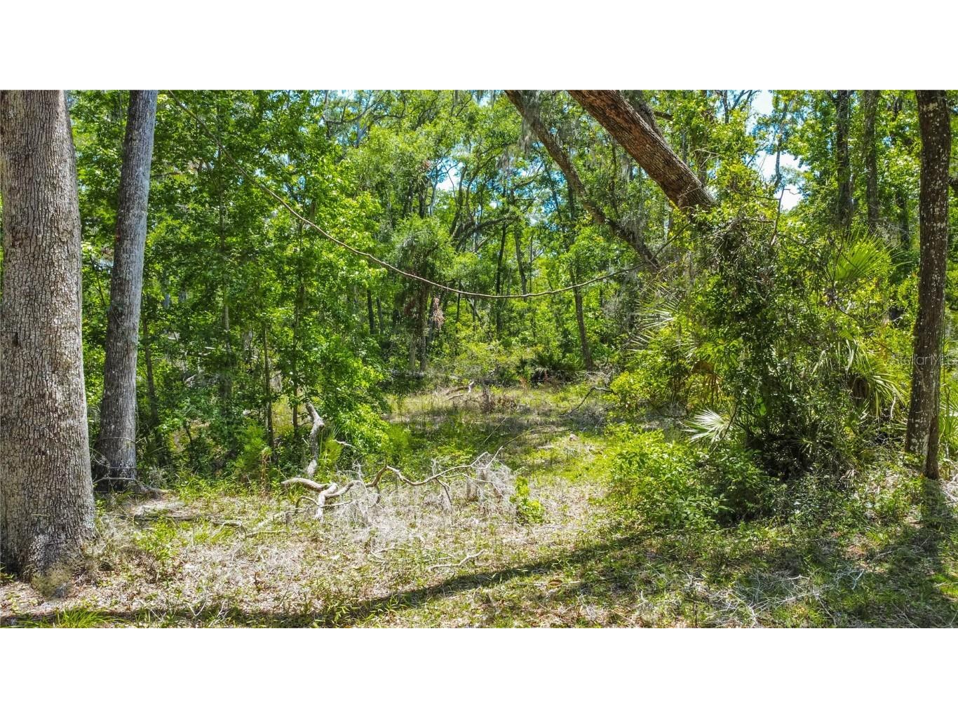 105 NE 239th Avenue Old Town FL 32680 W7875715 image16