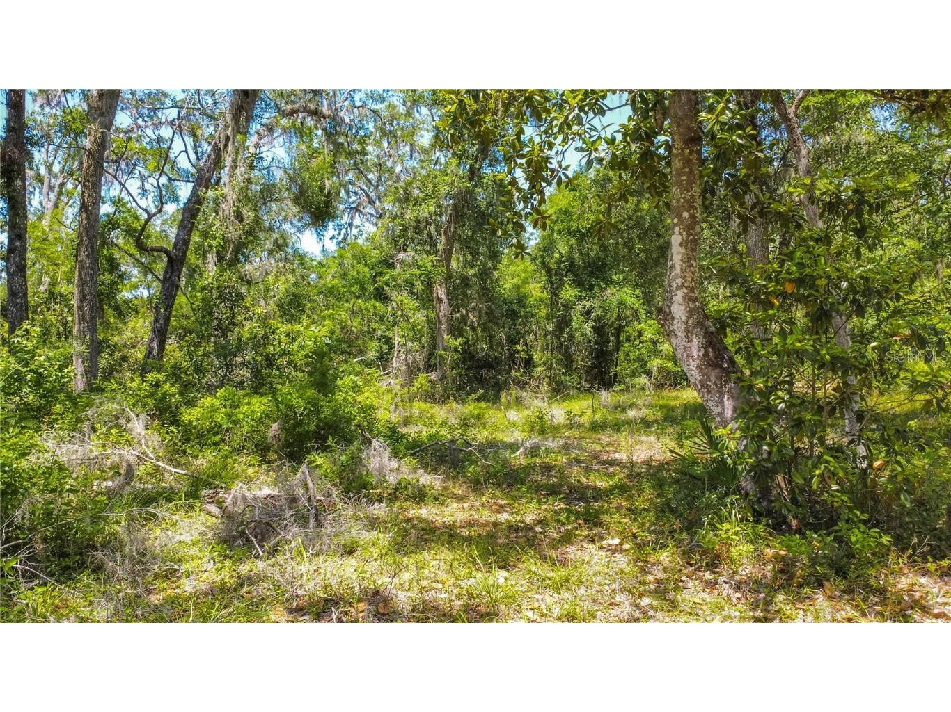 105 NE 239th Avenue Old Town FL 32680 W7875715 image17