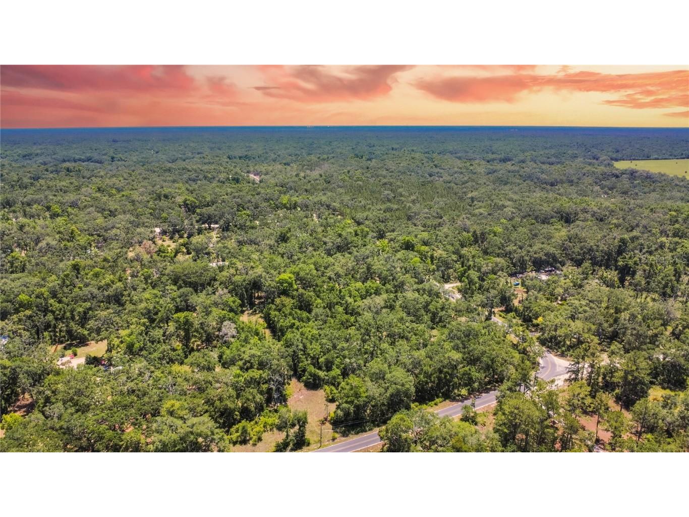 105 NE 239th Avenue Old Town FL 32680 W7875715 image21