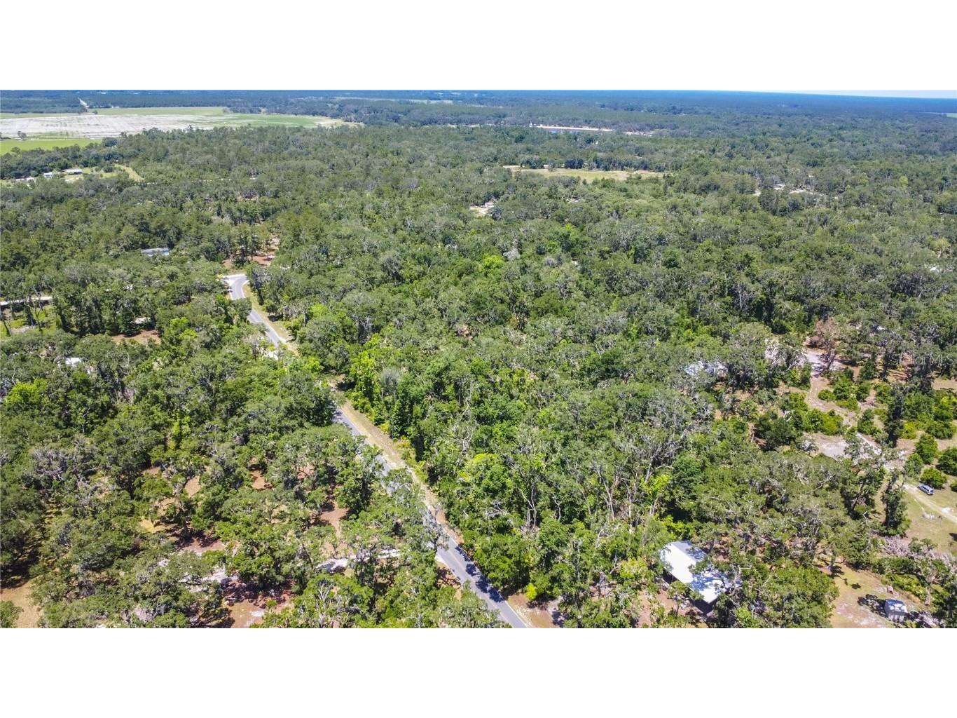 105 NE 239th Avenue Old Town FL 32680 W7875715 image23