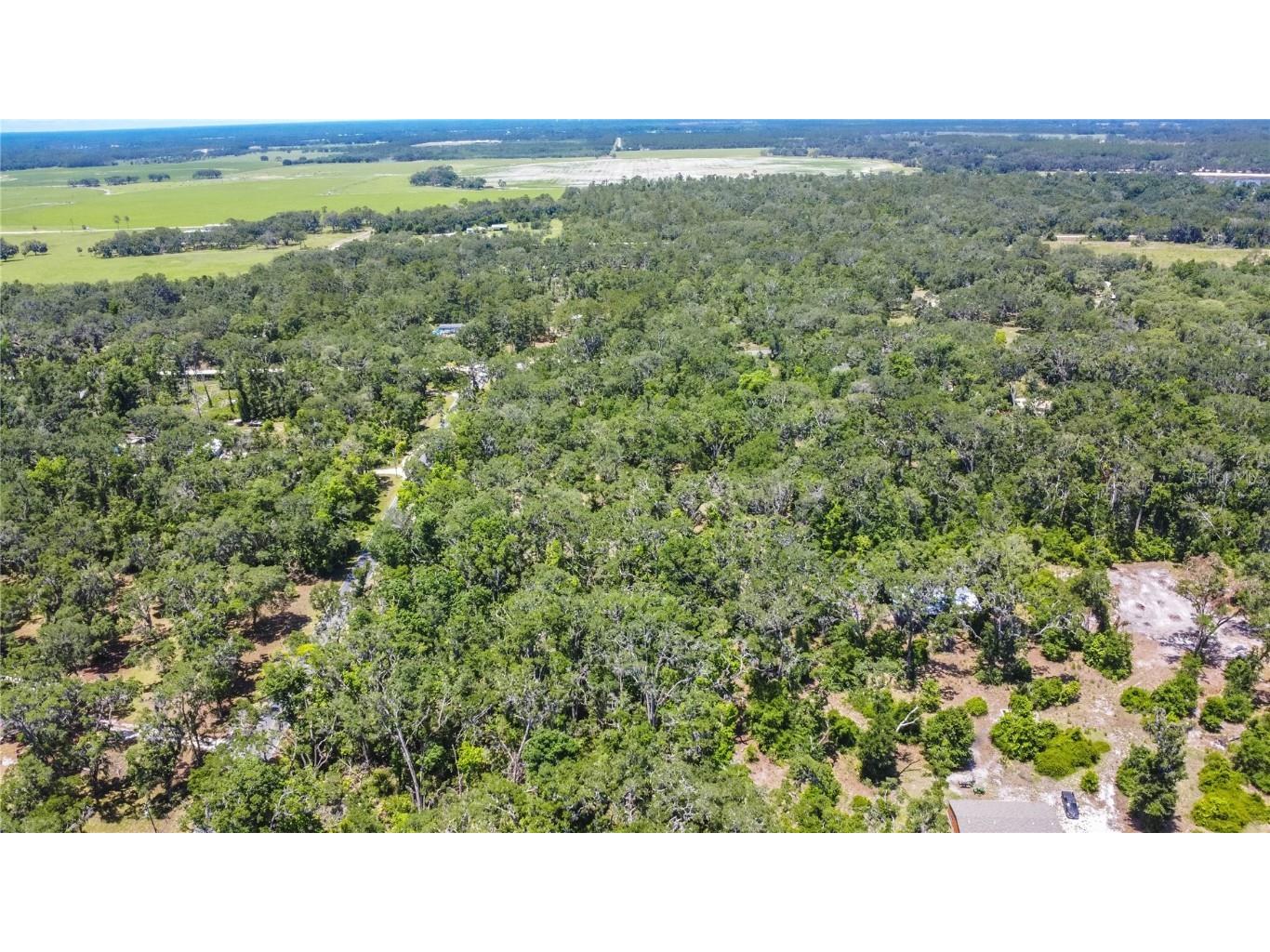 105 NE 239th Avenue Old Town FL 32680 W7875715 image24