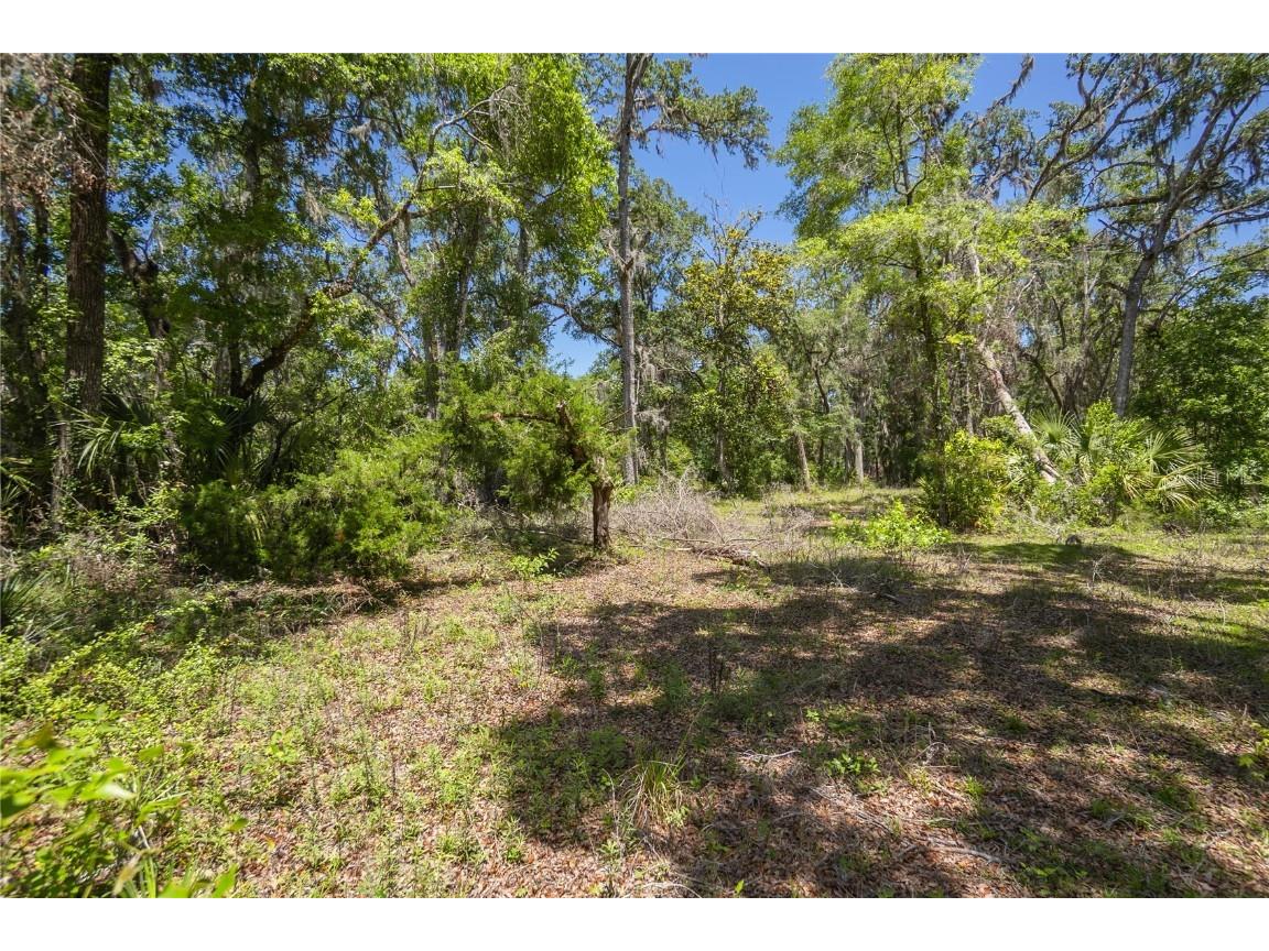 105 NE 239th Avenue Old Town FL 32680 W7875715 image4