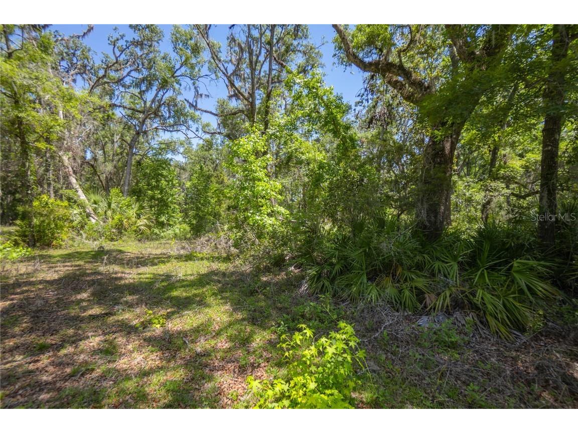 105 NE 239th Avenue Old Town FL 32680 W7875715 image5