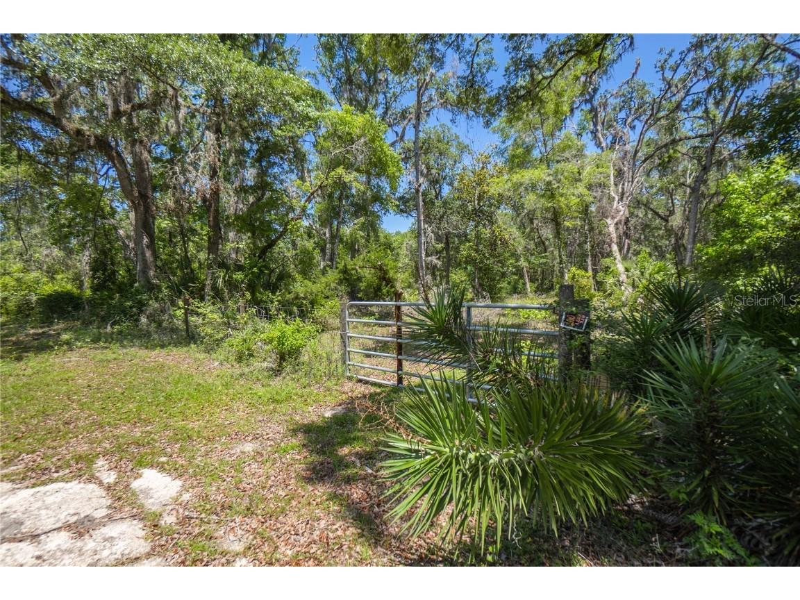 105 NE 239th Avenue Old Town FL 32680 W7875715 image6