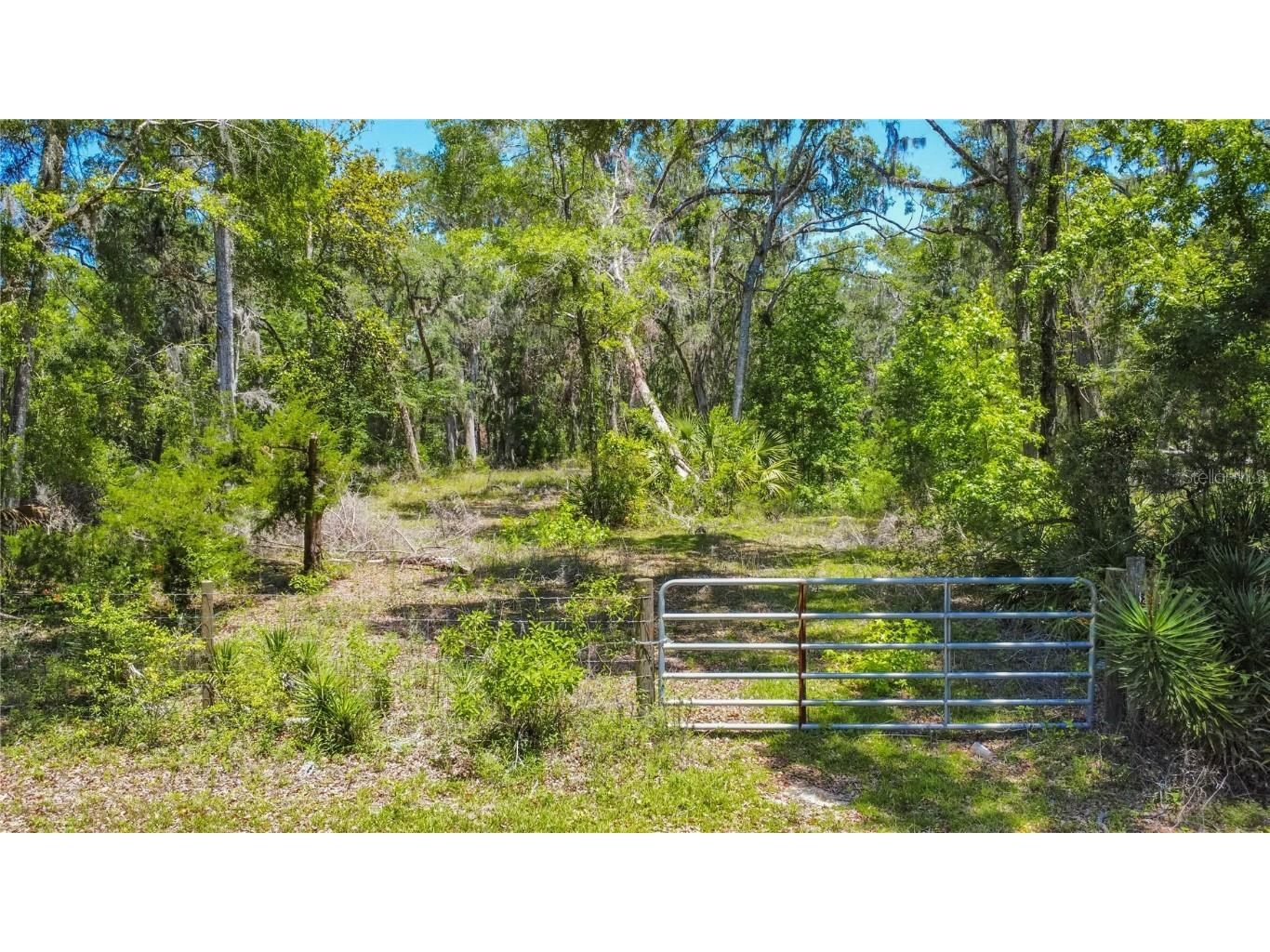 105 NE 239th Avenue Old Town FL 32680 W7875715 image7