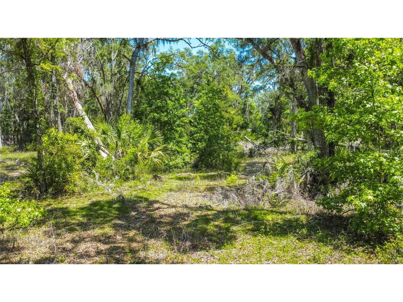 105 NE 239th Avenue Old Town FL 32680 W7875715 image8