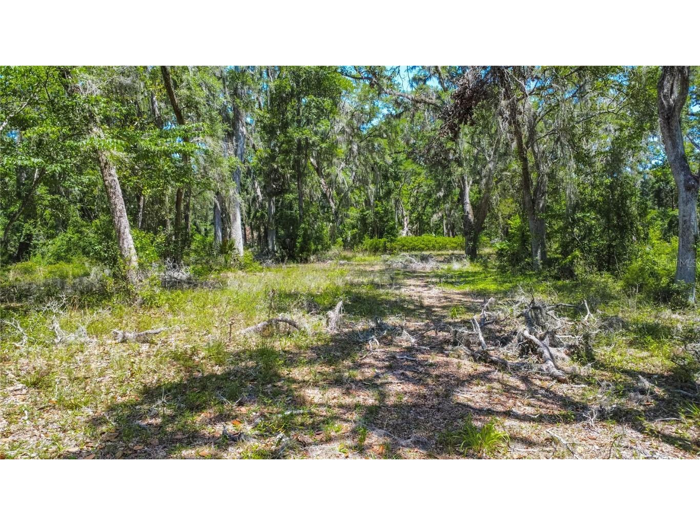 105 NE 239th Avenue Old Town FL 32680 W7875715 image9