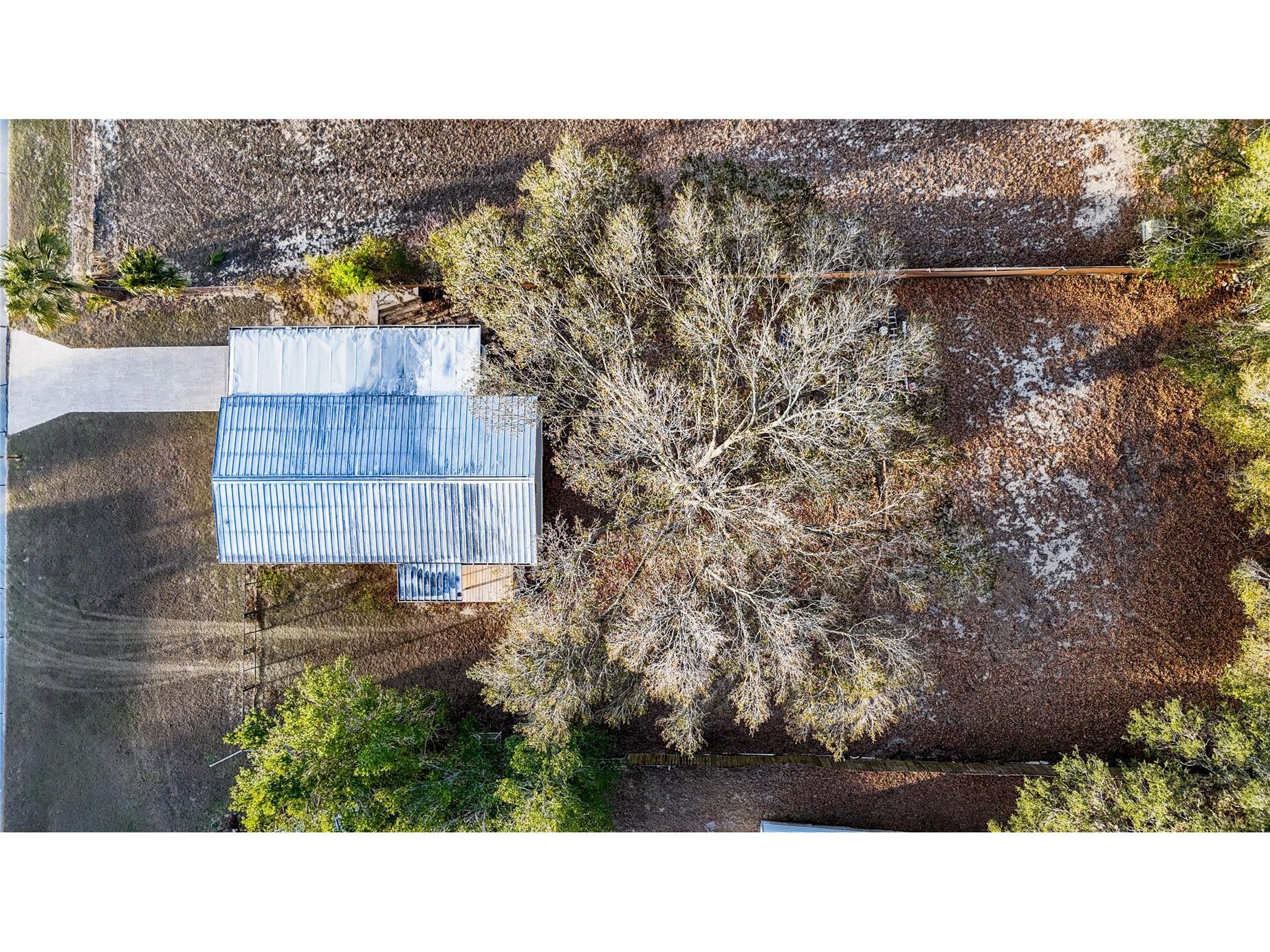 105 NE 66th Court Ocala FL 34470 OM719634 image4